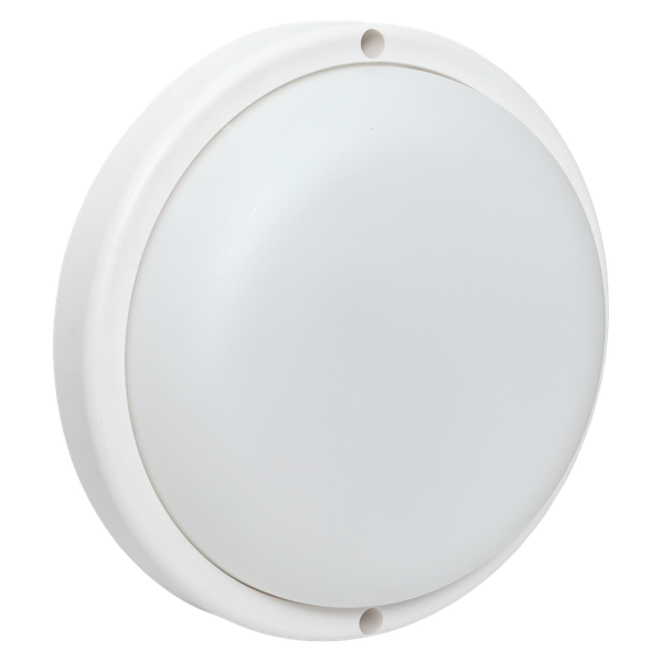 Светильник светодиодный ЖКХ круг ДПО-1004 15Вт 6500K IP65 LUMA EKF (BKL-1004-R-15-6500) превью в интернет-магазине электрики Форум Электро в Москве Светильник светодиодный ЖКХ круг ДПО-1004 15Вт 6500K IP65 LUMA EKF (BKL-1004-R-15-6500) превью в интернет-магазине электрики Форум Электро в Москве