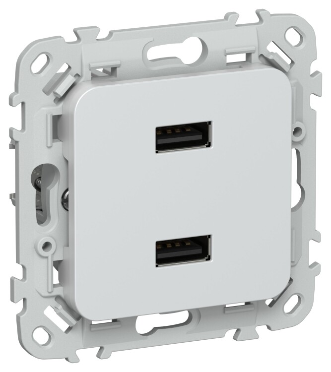 Картинка IEK FLITE Жемчуг Розетка USB A+A 31А (FI-U21-D31-K36) в интернет-магазине Форум Электро в Москве