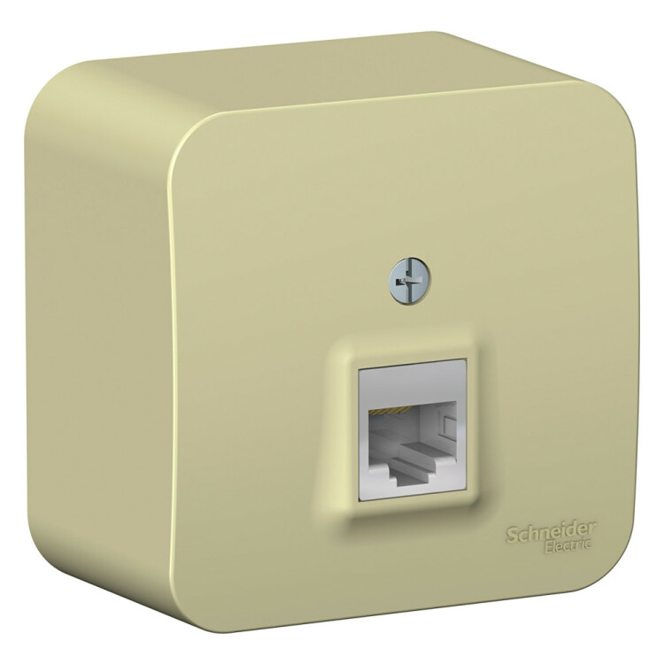 Картинка Systeme Electric Blanca наруж Беж Розетка компьютерная RJ45, кат.5E, изолир. пластина (BLNIA045007) в интернет-магазине Форум Электро в Москве