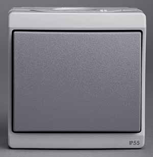 Картинка Переключатель на два направления, о/у, серый в сборе IP55 (ENN35723) в интернет-магазине Форум Электро в Москве