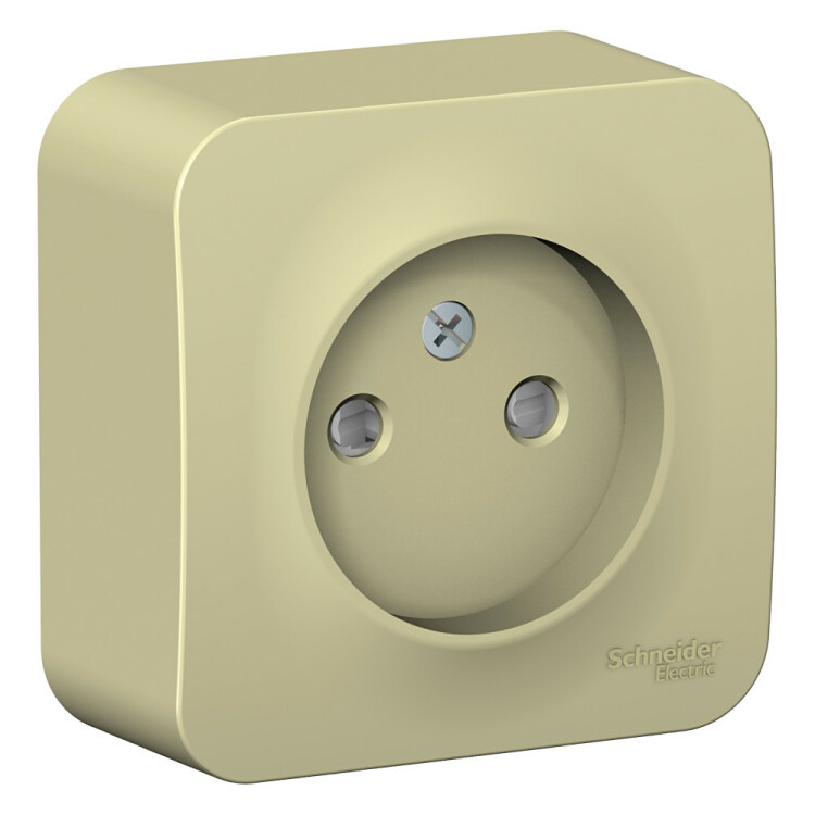 Картинка Systeme Electric Blanca наруж Беж Розетка б/з со шторками, изолир. пластина 16А, 250В (BLNRA001117) в интернет-магазине Форум Электро в Москве