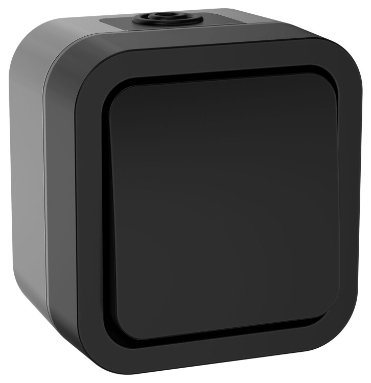 Картинка IEK TORS Выключатель кнопочный 10А IP55 TS110 графит (TS-V14-0-10-55-K53) в интернет-магазине Форум Электро в Москве
